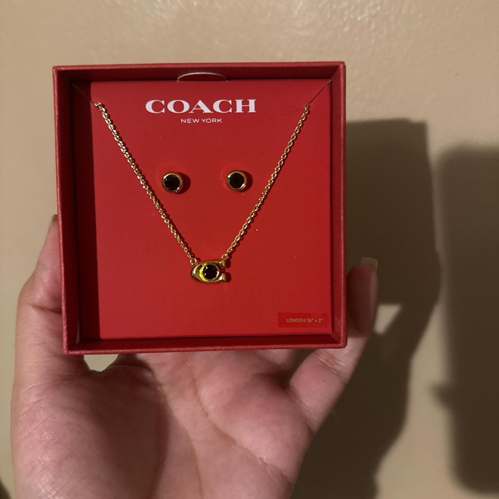 Coach earrings and necklace 
Send offers 

Perfect gift

Brand new
#coach